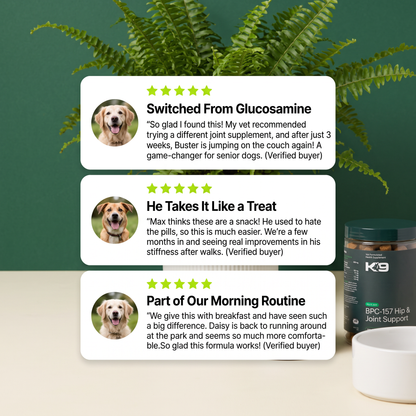BPC Hip & Joint Regenerative Support Cold-Pressed Chews
